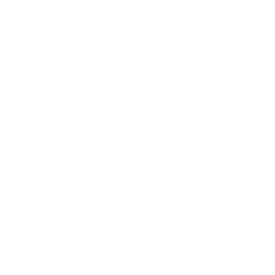 The Travel Health Clinic